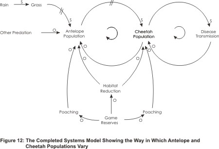Systems Model Example