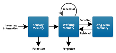 Image result for cognitive load theory