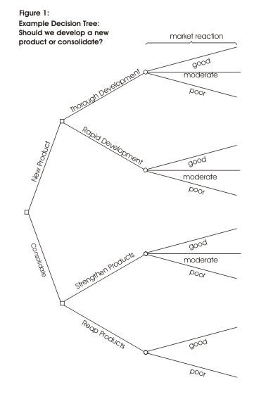 Example decision tree diagram: Step 1
