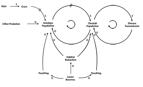 Systems Diagrams Diagram 12