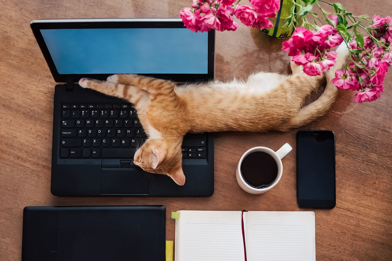 Sleeping on the Job: Can Napping at Work Boost Performance?